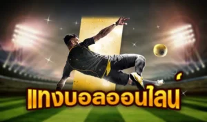 วิธีแทงบอลเว็บตรง